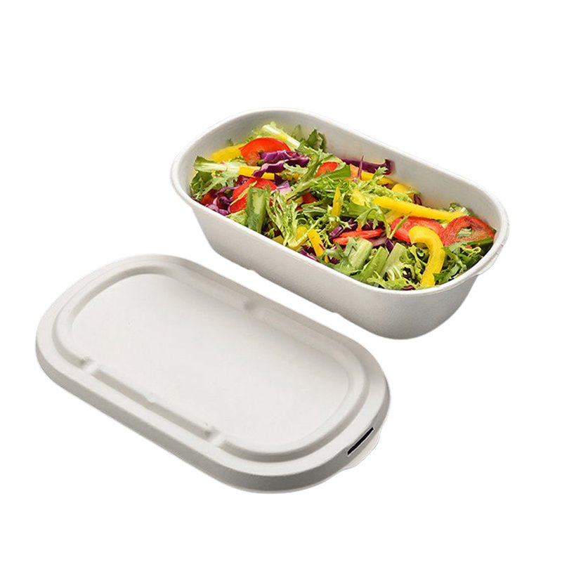 Bagasse Food Container