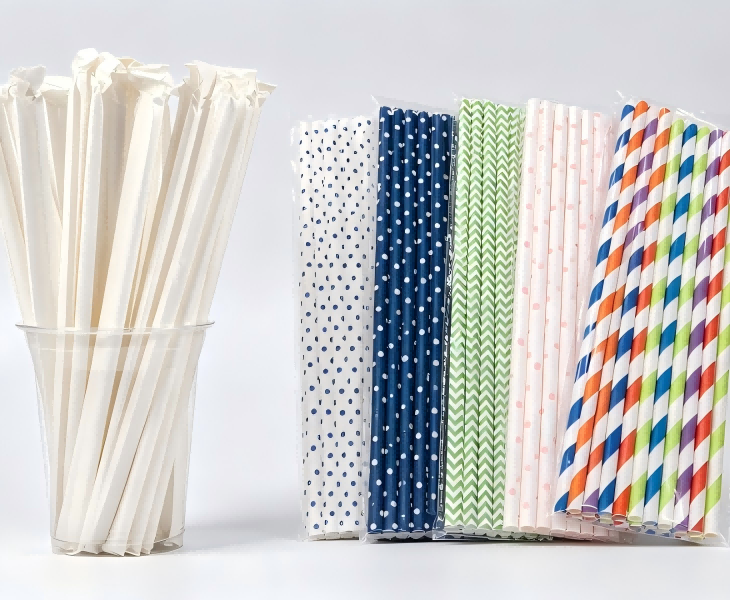 Bulk & Individually Wrapped Paper Straws